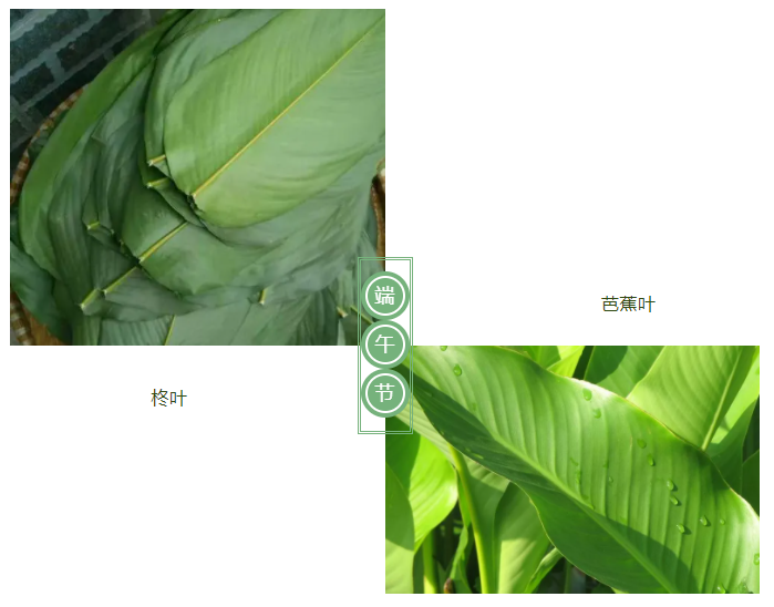 好体育app官网登录入口下载医纺