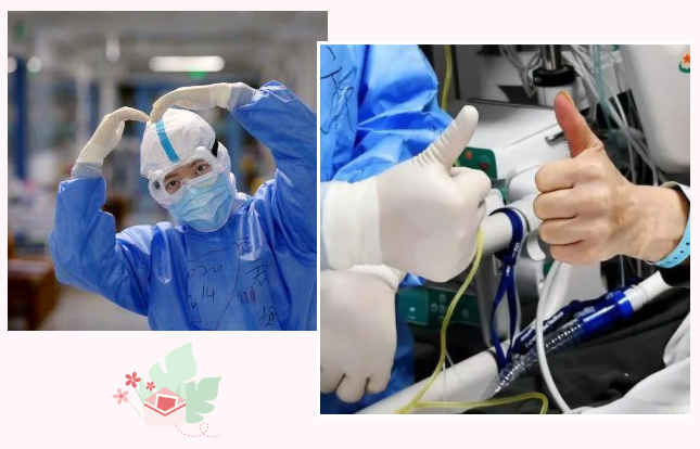 好体育app官网登录入口下载纺织