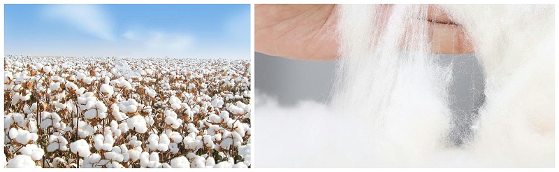 好体育app官网登录入口下载医纺