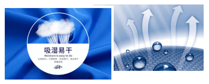 好体育app官网登录入口下载医纺