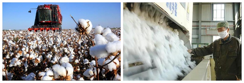 好体育app官网登录入口下载医纺