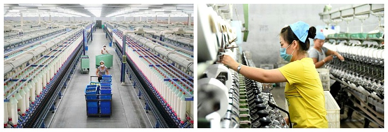 好体育app官网登录入口下载医纺