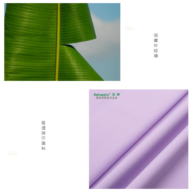 好体育app官网登录入口下载医纺