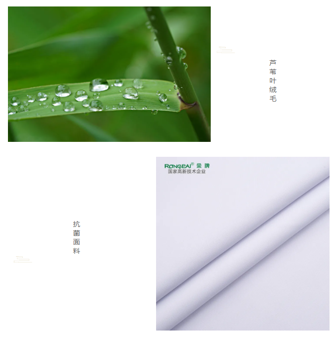 好体育app官网登录入口下载医纺