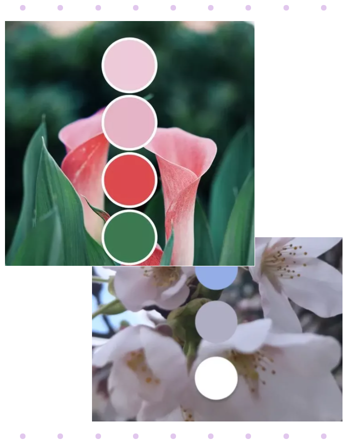 好体育app官网登录入口下载纺织面料