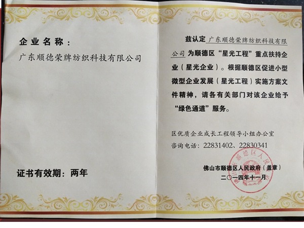 好体育app官网登录入口下载荣获政府重点扶持企业